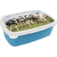 MuchoWow Broodtrommel Blauw - Lunchbox - Brooddoos - Koeien - Weiland - Dieren - Natuur - Gras - 18x12x6 cm - Kinderen - Jongen