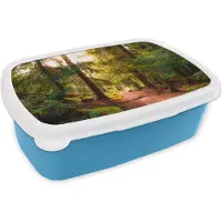 MuchoWow Broodtrommel Blauw - Lunchbox - Brooddoos - Bos - Pad - Bomen - Groen - Zon - Natuur - 18x12x6 cm - Kinderen - Jongen