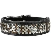 Hunter Halsband Arizona