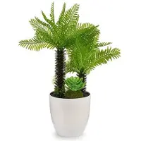 Ibergarden Decoratieve plant Wit Groen Plastic (18 x 33 x 18 cm)