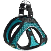 Hunter Hondentuigje Hilo-Comfort Turkoois Maat XXS (26-30 cm)