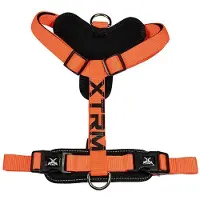 Nayeco X-trm Cronos Neon Flash 35-60x1.5 Cm Hondenharnas