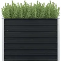 vidaXL Verhoogde plantenbak, antraciet, 100 x 100 x 77 cm, verzink staal
