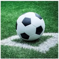 Ambiente 40x Voetbal thema feest servetten 33 x 33 cm - Feestservetten