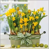 Ambiente 40x Pasen thema tafel servetten narcissen/paaseitjes thema 33 x 33 cm - Feestservetten