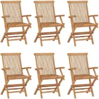 vidaXL Klapstoelen 6 stuks van massief teakhout