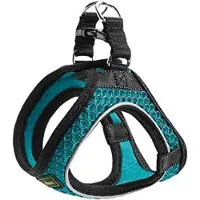 Hunter Pet servies Hilo Comfort, turkizoen, maat M-L