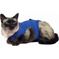 Kvp Recova Kattenjasje