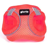 Gloria Air Mesh Trek Star hondentuig, maat L