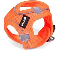 Gloria Air Mesh Trek Star hondentuig, maat L
