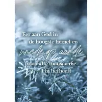 MajesticAlly Kerstkaart 'Eer aan God' ' 12 stuks met envelop