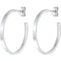 Elli Oorbellen zilver
