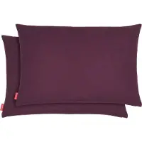 Blumtal Chenille Kussenslopen - Set van 2 - Zacht en met Blinde Rits - Kussenhoes 40 x 60, Aubergine - Paars