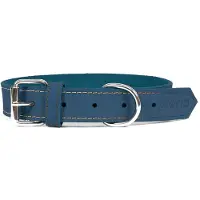 Gloria Dog collar Gloria Oasis Blue (60 x 3 cm)