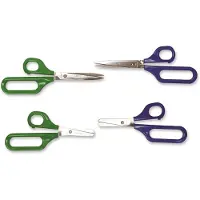 Able 2 Schaar met 1 groot oog 45mm Links