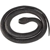 Wild republic slang Mamba junior 117 cm rubber zwart