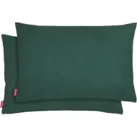 Blumtal Chenille Kussenslopen - Set van 2 - Zacht en met Blinde Rits - Kussenhoes 30 x 50, Botanical Green - Groen