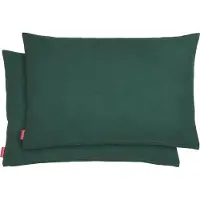 Blumtal Chenille Kussenslopen - Set van 2 - Zacht en met Blinde Rits - Kussenhoes 40 x 60, Botanical Green - Groen