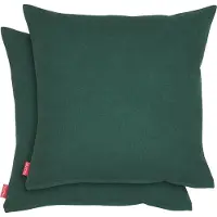 Blumtal Chenille Kussenslopen - Set van 2 - Zacht en met Blinde Rits - Kussenhoes 45 x 45, Botanical Green - Groen