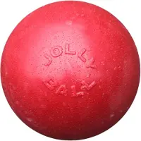 Jolly Pets Ball Bounce-n Play rood ø 20 cm