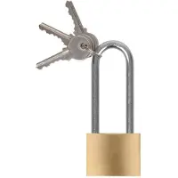 Pricenet hangslot 40 mm met lange beugel 75 mm goud