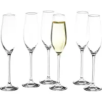 Salt & pepper Champagneglas 21cl Cuvee - set/6