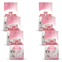 Royal Canin Kitten - Kitten-Kattenvoer - 6 x 2 kg