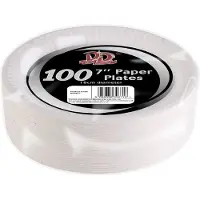 Did 100x Witte bordjes van karton rond 23 cm - Feestbordjes