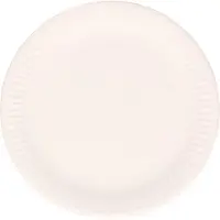 Did Feestbordjes/gebaksbordjes karton - 60x - wit - rond - papieren bordjes