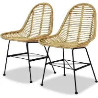 vidaXL Eetkamerstoelen 2 st natuurlijk rattan