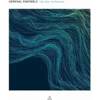 Pias Oerknal Ensemble - Narrow Numerous (CD)
