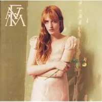 Universal Music Florence And The Machine - High As Hope (CD)