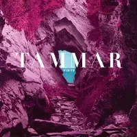 Konkurrent Tammar - Visits (LP)