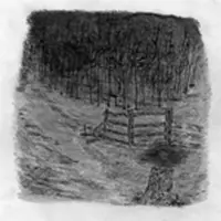 Konkurrent Telepathe - Farewell Forest (CD)