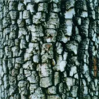 Konkurrent Ativin - Interiors (CD)