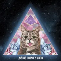 Konkurrent Lil Bub - Science & Magic (LP)