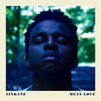 Virgin Music Group B V Cnt Mean Love