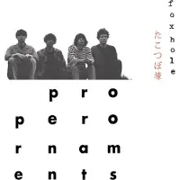 Konkurrent The Proper Ornaments - Foxhole (CD)