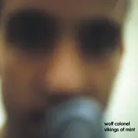 Konkurrent Wolf Colonel - Vikings Of Mint (CD)