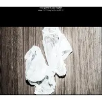Ginza.se Evan Parker & Joe McPhee - What / If / They Both Could Fly (CD)