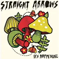 Konkurrent Straight Arrows - It's Happening (CD)