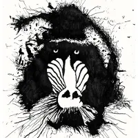 Konkurrent Feral Ohms - Feral Ohms (CD)