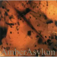 Konkurrent Amber Asylum - Frozen In Amber (CD) (Remastered)