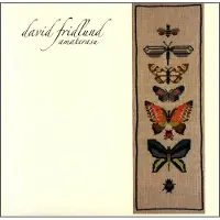 Konkurrent David Fridlund - Amaterasu (CD)