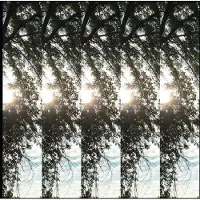 Konkurrent Pontiak - Dialectic Of Ignorance (CD)