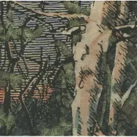 Konkurrent The Anomoanon - Asleep Many Years In The Wood (CD)