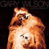 Konkurrent Gary Wilson - Electric Endicott (CD)