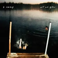 Konkurrent S. Carey - All We Grow (CD)