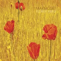 Konkurrent Marmoset - Florist Fired (CD)