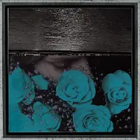 Konkurrent Jessica Bailiff - At The Down-Turned Jagged Rim Of The Sky (CD)